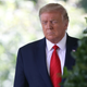 Donald Trump Very Proud That He 'Aced' a Cognitive Test That Likely Asked Him to Identify a Drawing of a Lion